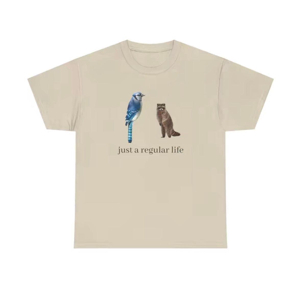 Blue Jay And Raccoon Just A Regular Life T-Shirt/Sweatshirt/Hoodie