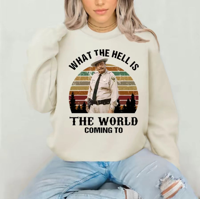 What The Hell Is The World Coming To Smokey And The Bandit Movie T-Shirt/Sweatshirt/Hoodie