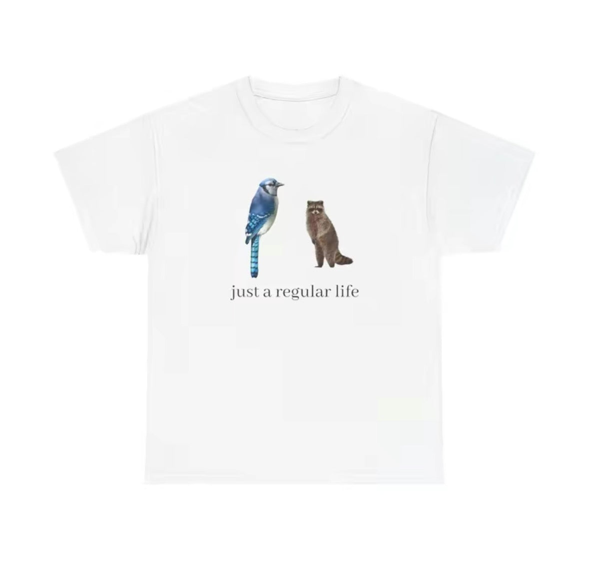 Blue Jay And Raccoon Just A Regular Life T-Shirt/Sweatshirt/Hoodie