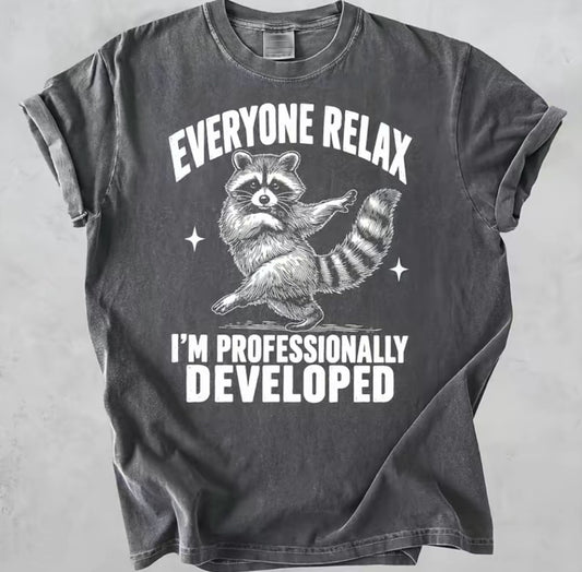 Funny Raccoon Every Relax I'm Professionally Developed Sarcastic T-Shirt/Sweatshirt/Hoodie